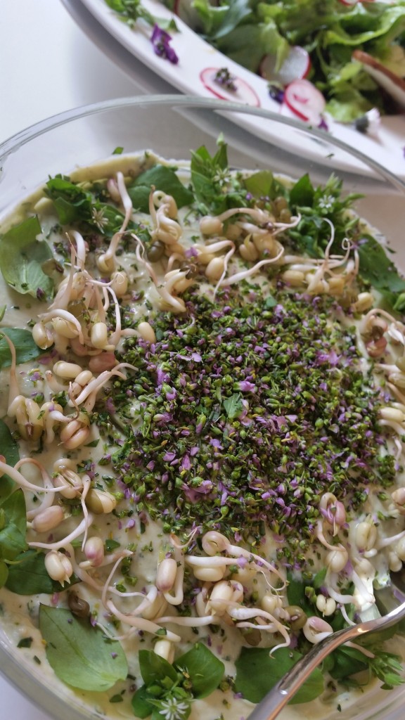 Avocado_wiesenschaumkraut_vogelmiere_aufstrich