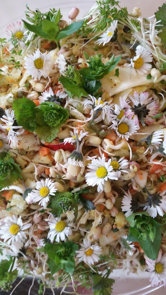 Rohkost_wildkraeuter_salat
