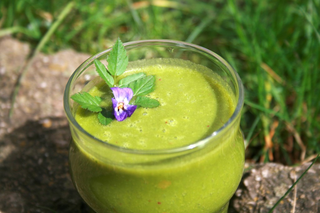 giersch_grüner_smoothie2